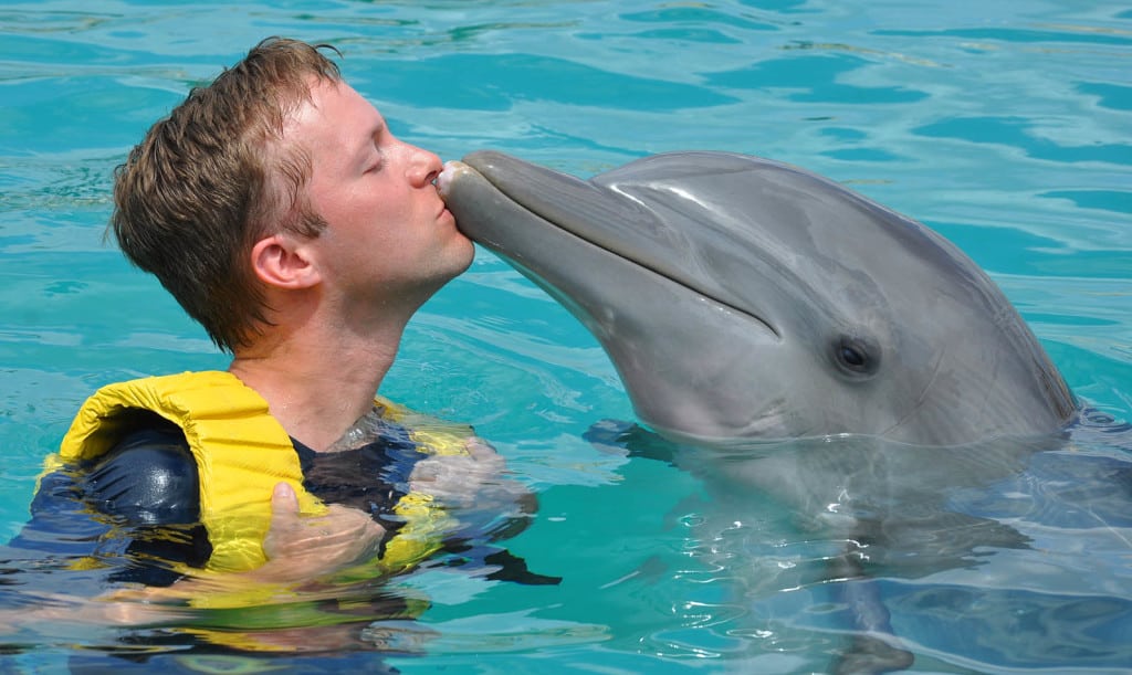 Nado com golfinhos em Cancun