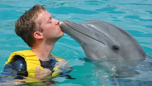 foto com golfinho em Cancún